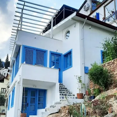 The Pebble - Blue House, フェティエ